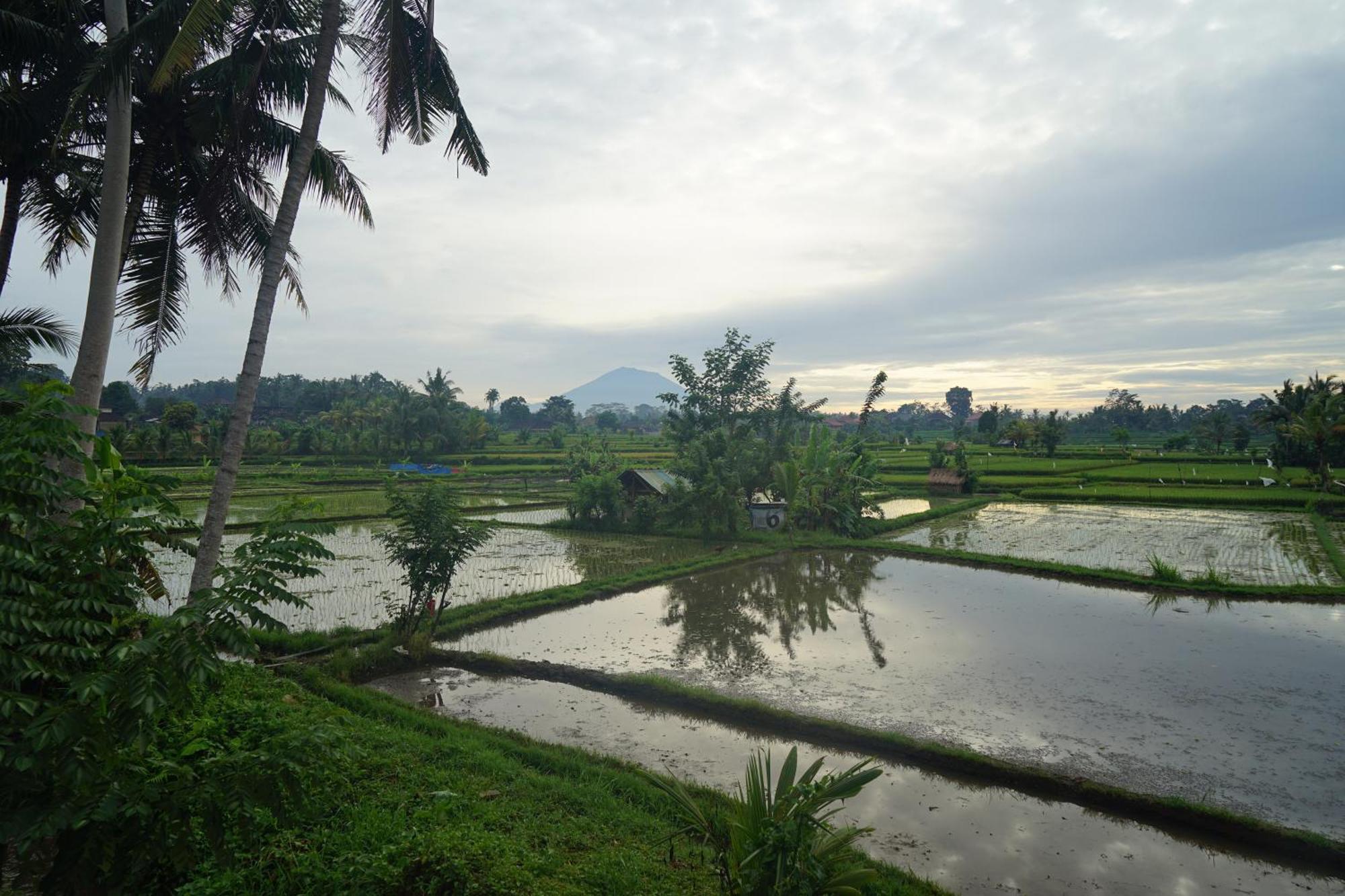 Santun Luxury Private Villas Ubud Cameră foto